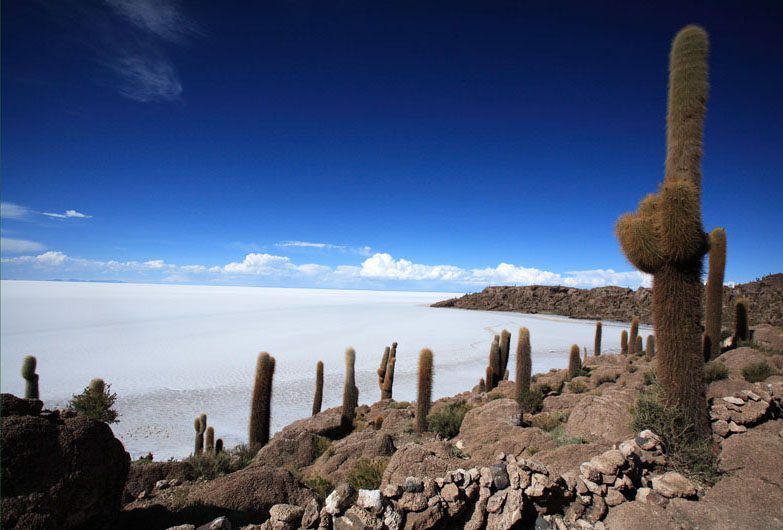 Bolivia - Fish Island