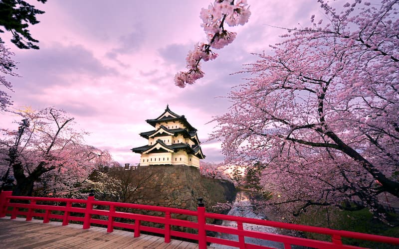 Fast Passports & Visas Ohio | Japan Visa for US Citizens: Requirements ????? (Hirosaki Castle and cherry blossoms)