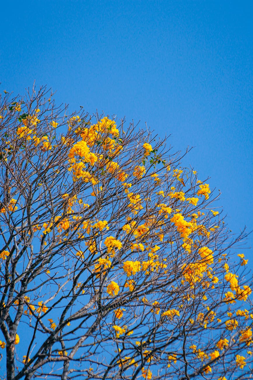 Fast Passports & Visas Ohio | Blog